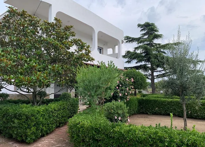 Cielo * פולסנו